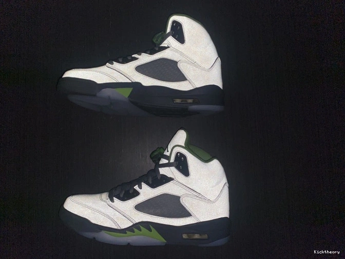 Kick Theory Green (2022) Bean 5 Jordan DM9014-003 Retro 0717
